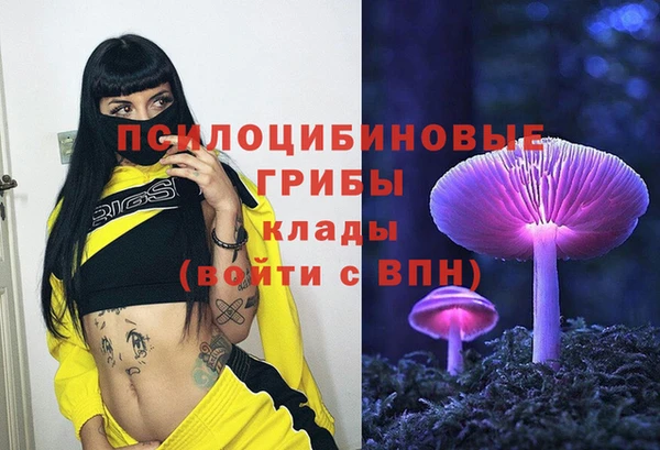 гидропоника Балабаново