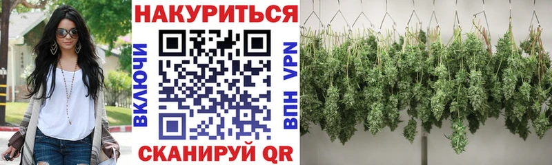 Конопля Amnesia  даркнет сайт  shop Telegram  Теберда  ссылка на мегу вход 